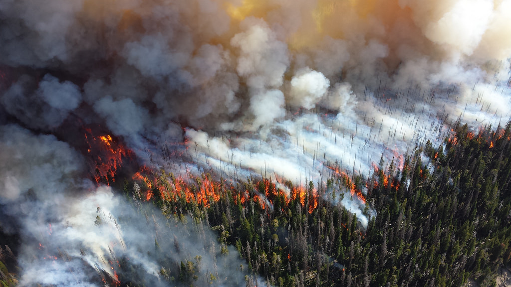 NPS Climate Change Response