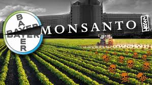 Monsanto Found Liable For Sickness  Of Farmer In A Court In France