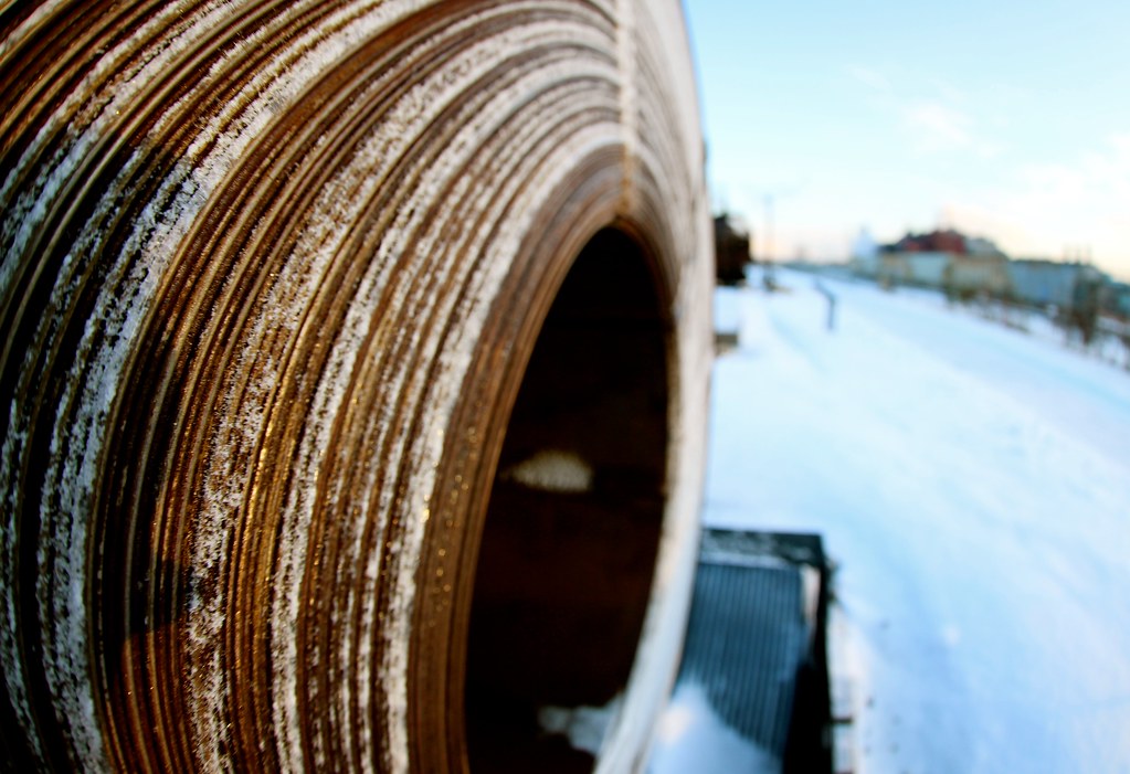 by roy.luck by roy.luck