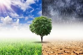 Insurers Call On World Governments To Earnestly Tackle Climate Change