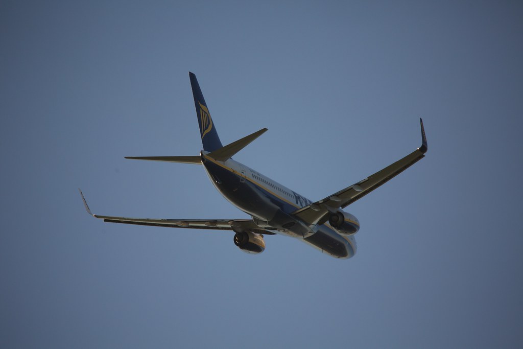 Ronnie Macdonald Ronnie Macdonald