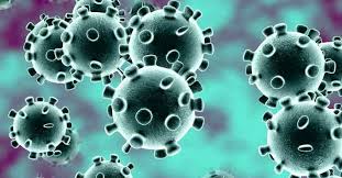New Study Claims 5 Million Companies Worldwide Could Be Impacted By Coronavirus