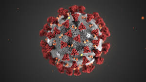 Detection Of New Virus Strain In New Zealand, Australia Suspends Travel Bubble