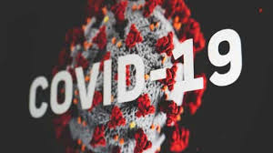 WHO Team In China Dismiss Covid-19 'Lab Leak' Theory