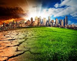 People Willing To Pay Extra For Fighting Climate Change, Says Maersk Chief