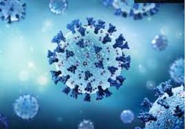 New Study Finds Lower Antibodies Against Omicron Induced By Two-Dose Vaccines