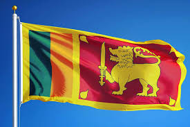 Sri Lankan Needs $5bn This Year To Buy Vital Supplies, Says Prime Minister