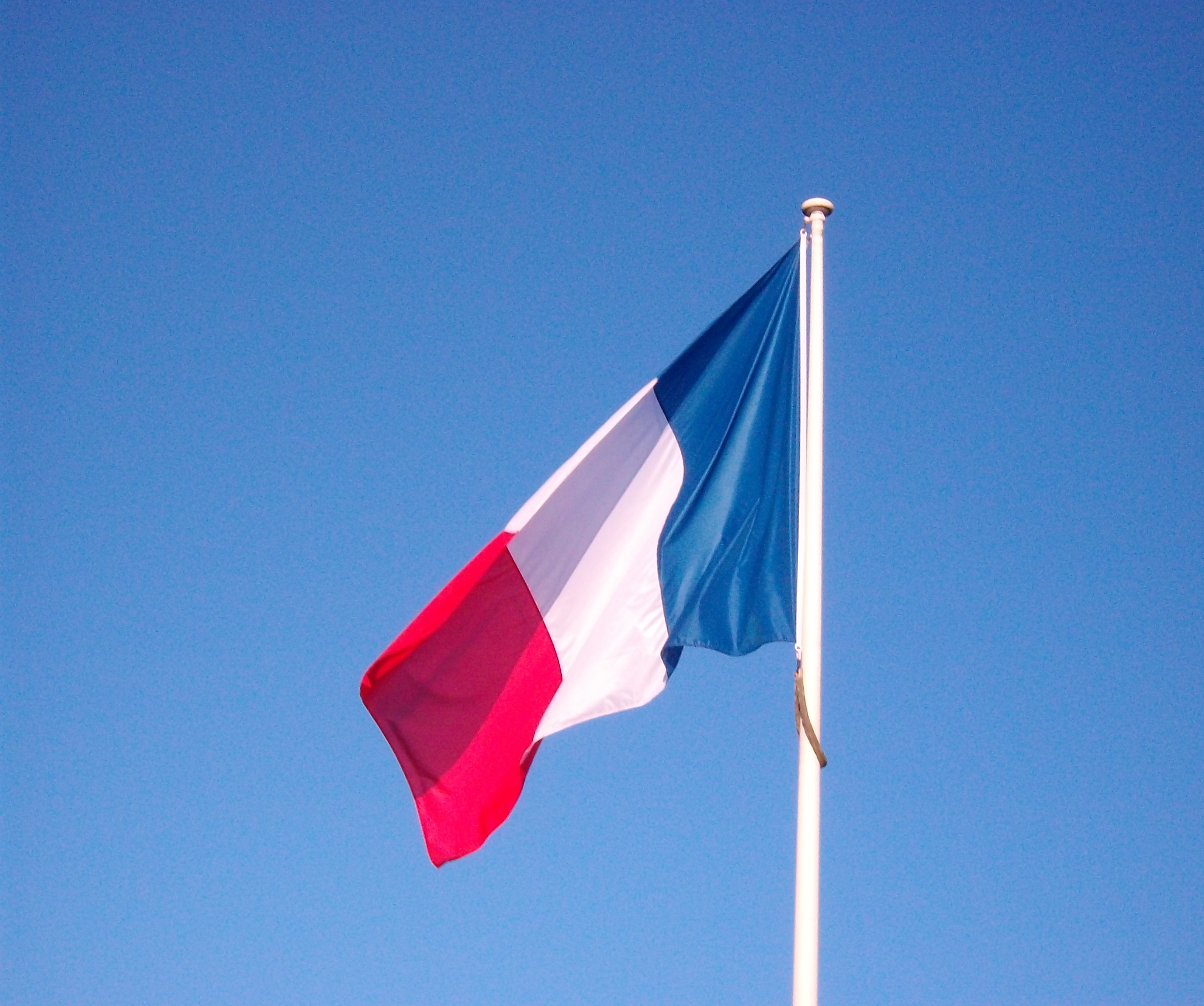 fdecomite fdecomite