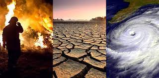 Climate Change Will Cost Farm And Food Investors $150 Billion, According To A Report