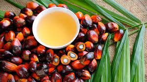 Indonesian Palm Oil Exports Restrictions, And Its Biodiesel Plans Are Threatening Global Vegetable Oil Supplies