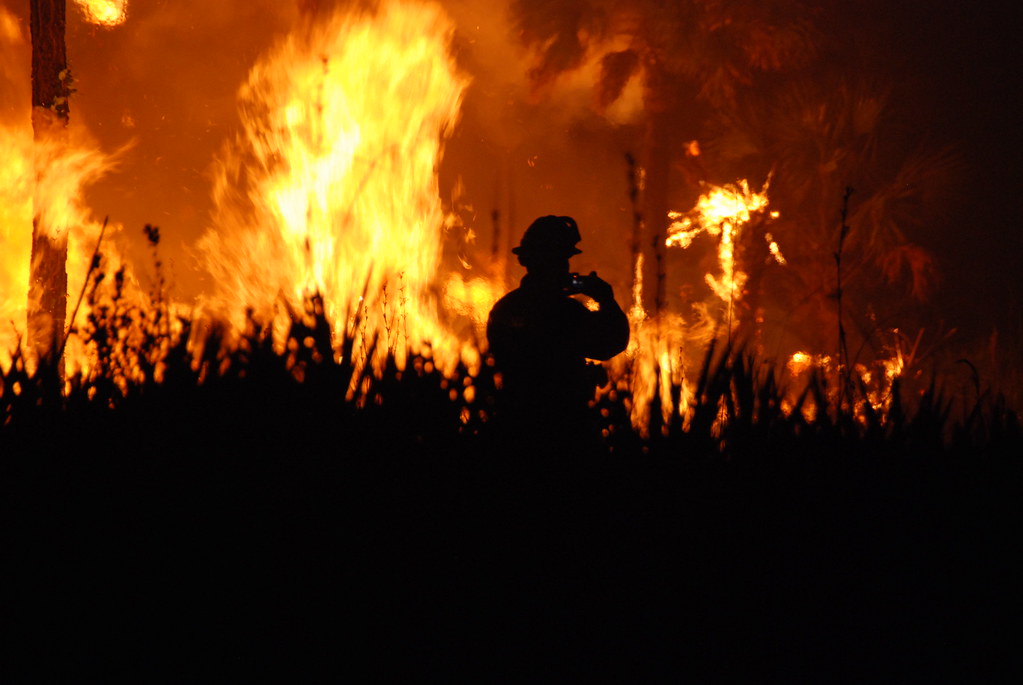 U.S. Fish and Wildlife Service
