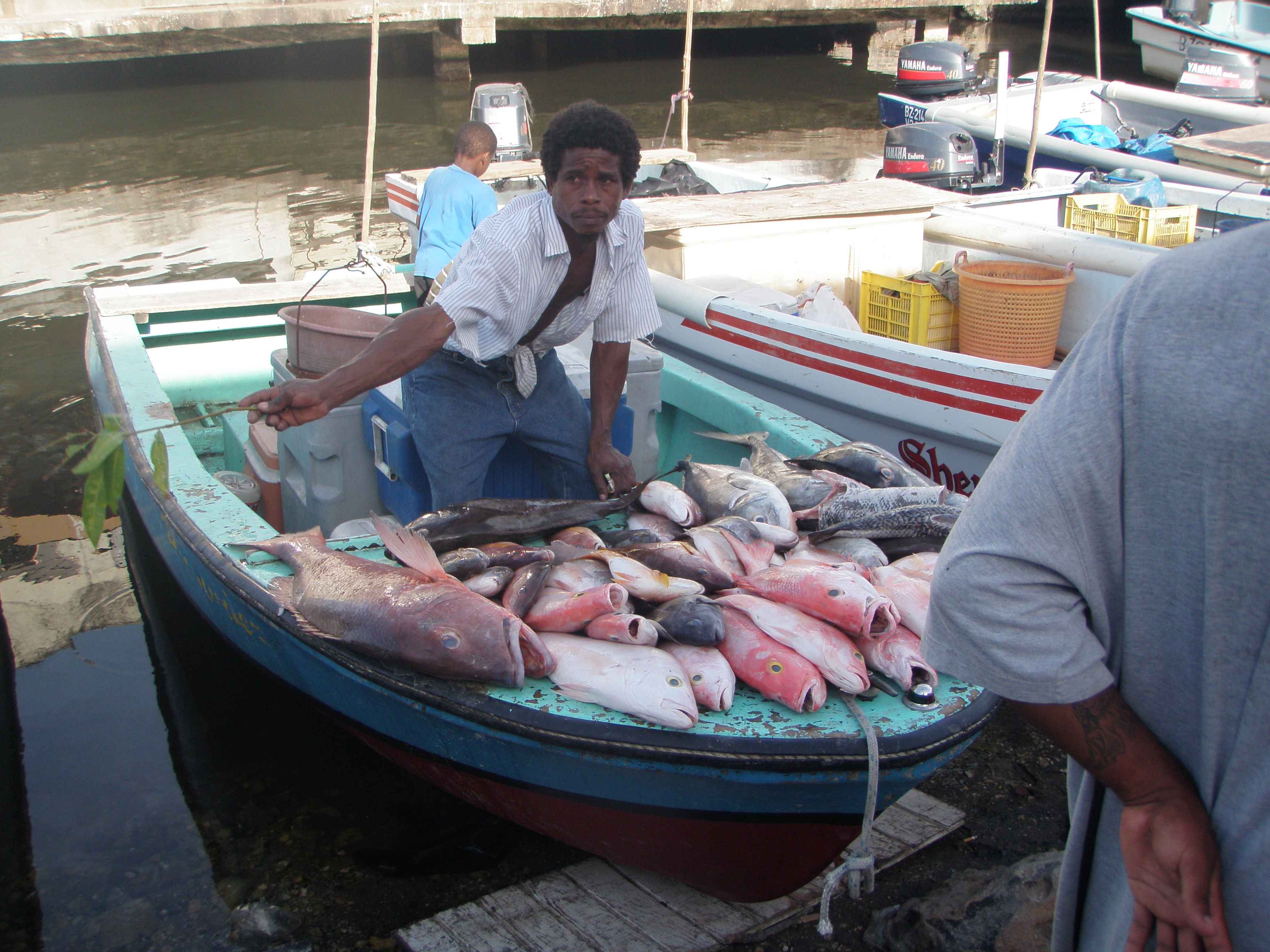 The Caribbean needs to be ‘Climate Smart’ in order to survive