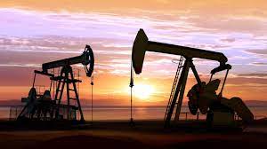 Venezuelan Oil Will Be Purchased By India, Indian Minister Says