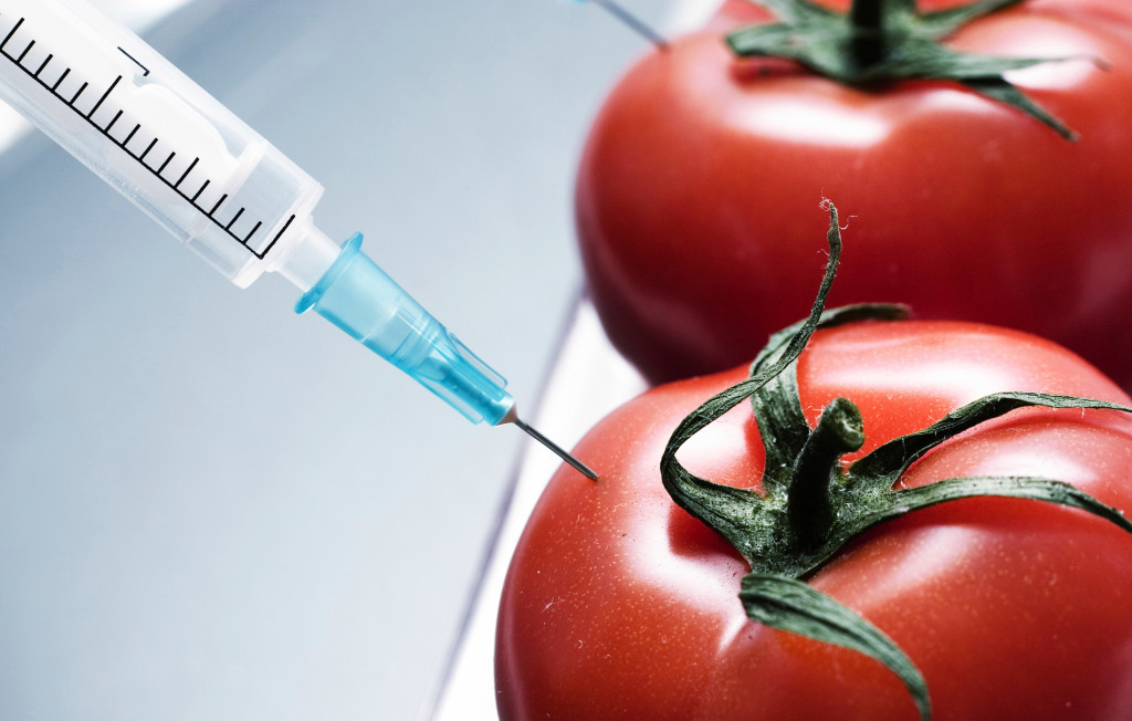 The US and Europe: On the Threshold of GMO War