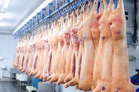 Russian Pork Producers Capitalize On EU-China Trade Tensions To Expand In Global Markets