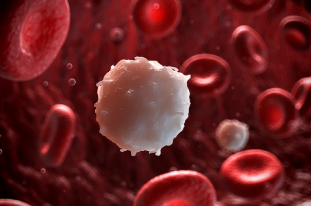 Scientists Have Discovered Ways To Kill Leukemia Cells With Another Leukemia Cell