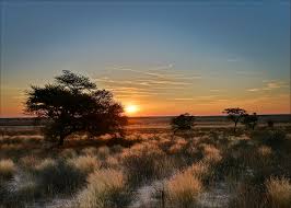 Fracking Rights Sold Out in a National Park in Botswana