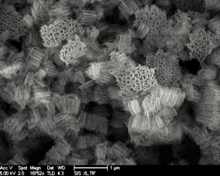 Magnesium Could Become the Next Aluminum Thanks to Silicon Nanoparticles: UCLA Research