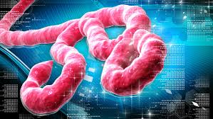 As Liberia Expects All-Clear, Ebola Epidemic to be Declared Over by WHO As Liberia Expects All-Clear, Ebola Epidemic to be Declared Over by WHO