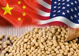 China’s Feed-Sector Weakness and Grain Stockpiles Weaken U.S. Soybean Outlook as Trade Normalization Alters Global Flows