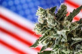 US Federal Reclassification Reshapes Cannabis Economics but Leaves Consumer Reality Largely Unchanged