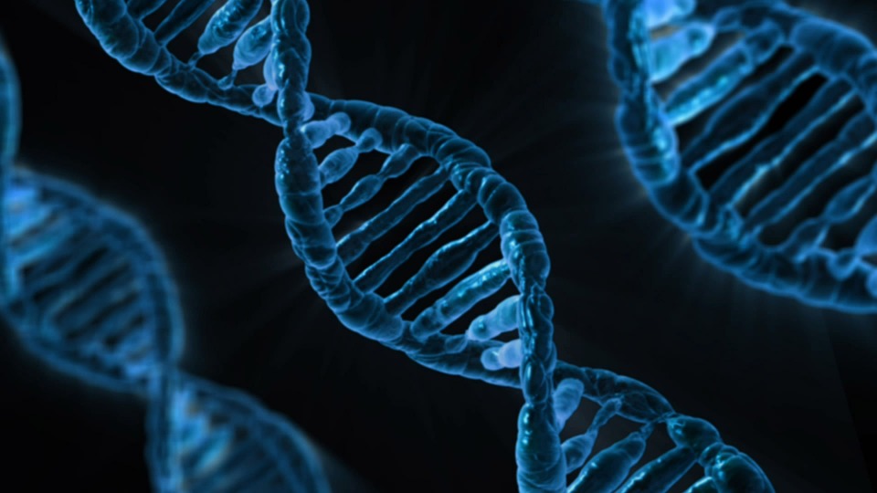 How genetic engineering can affect the world economy