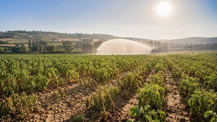 Europe’s Drought Crisis Is Forcing Farms To Adapt to Rising Heat and Water Scarcity
