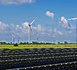 Renewable energy for the first time overtakes coal in electricity generation