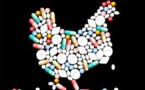 Antibiotic Rules Pressed to be Implemented at Yum’s KFC by Consumer Groups