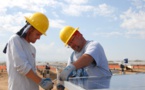SolarCity Collects ‘$305 Million’ To Fund Its Solar Panel Installation