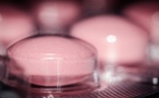 Pfizer Lowers Its Top Profit Margin Following The Third Quarter’s Earnings