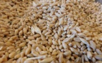 World prices for food rise by 9.1%