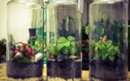 Meet The Future Of Food: CellPod