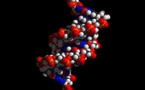 The Prospect Of Being A Blood-Blooded Nobility Allows The Scientists To Examine Genetic Diseases