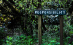 Can socially responsible investing be profitable?