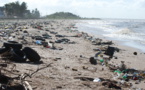 Leading manufacturers move forward with the New Plastics Economy