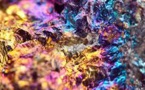 'Conflict Minerals' Rule Planed to be Targeted by White House Through Executive Order: Reuters