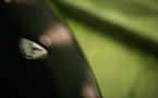 How Solar City metamorphosed Tesla's balance sheets