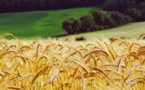 More Efficient Resource Management Can Add A ‘$2tr’ To The Economy Of The World