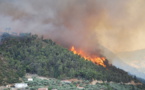 Forest fires in Canada raised prices for wood