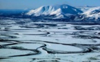 Trump draws a bead on oil in the Arctic Refuge