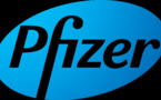 Pfizer to sell its healthcare business in November: Sources