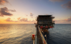 OPEC: American shale companies will keep dominating the market