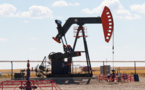 Arabian oil companies updated the record of borrowing