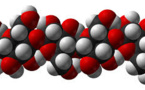 Renewable Fuels And Antibiotic Drugs Can Be Produced In The Future From New Cellulose 