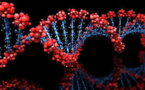 Over 500 Genes Impacting Intelligence Identified By Scientists