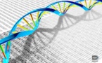 DNA Sequencing Project Proposed For All Complex Life Forms On Earth By An Int’l Team