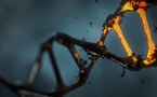 Are online DNA databases dangerous?