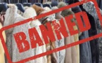Parliamentary Committee Report Urges Public Consultation For Banning Fur In UK