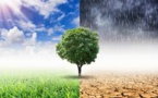 New Stricter EU Climate Targets Criticised By German Auto Industry 